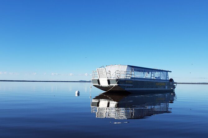 Everglades Explorer - Noosa Everglades Tour - Practical Details and Tips