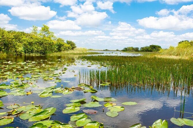 Everglades Express Small Group Tour from Miami with Airboat Ride - Considerations and Tips
