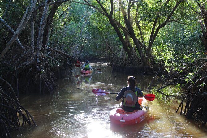 Everglades Kayak & Canoe Rentals - An In-Depth Look at the Everglades Kayak & Canoe Experience