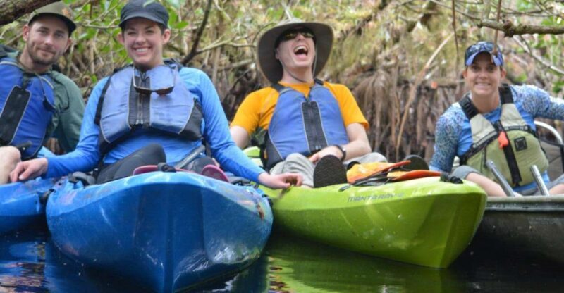 Everglades Kayak Safari Adventure Through Mangrove Tunnels - A Closer Look at the Experience