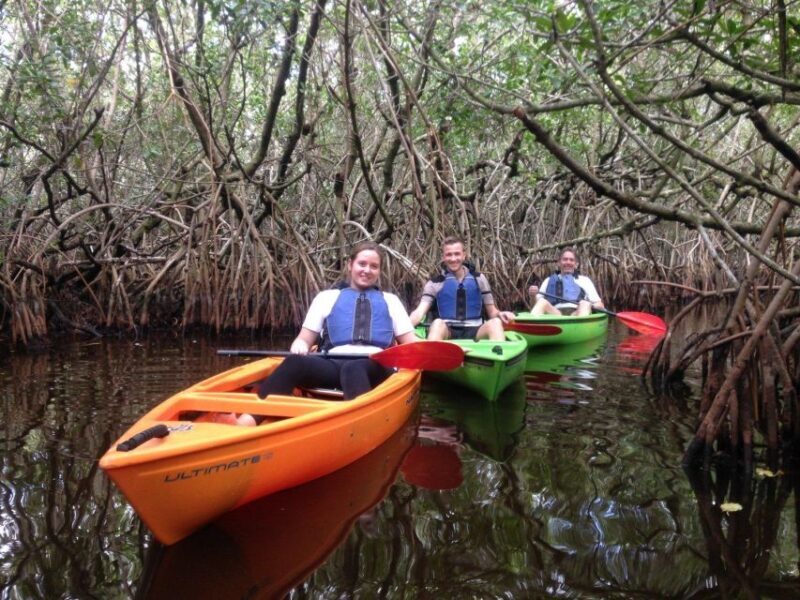 Everglades Kayak Safari Adventure Through Mangrove Tunnels - The Sum Up