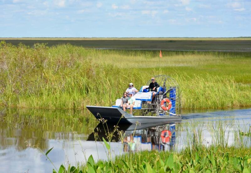 Everglades: Miami River of Grass Private Airboat Sunset Tour - Wildlife Encounters: What Youll See