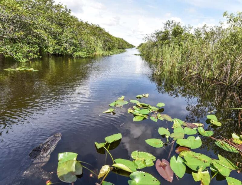 Everglades: Miami River of Grass Private Airboat Sunset Tour - The Guides: Knowledgeable and Passionate