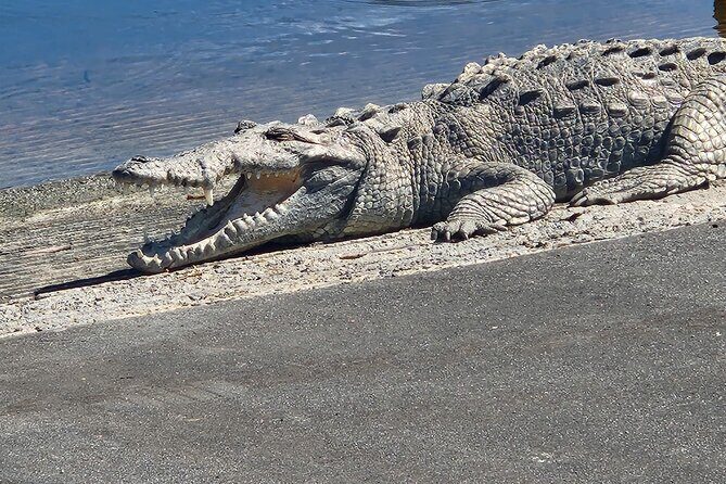 Everglades National Park: 3 Hikes + 90 minute Boat Tour + Lunch - The Itinerary: A Day in the Everglades