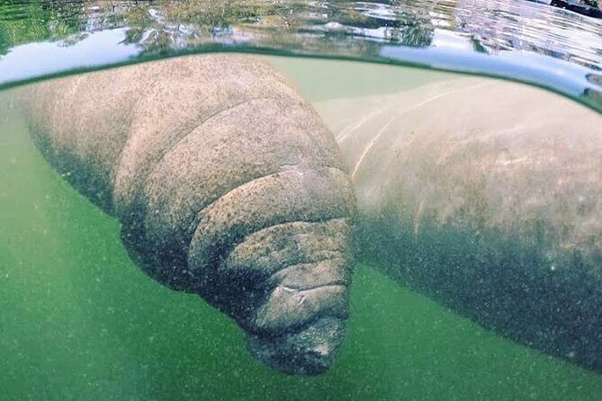 Everglades National Park: 3 Hikes + 90 minute Boat Tour + Lunch - FAQ