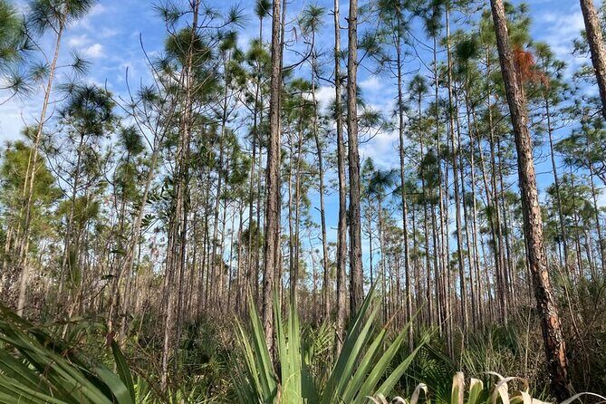 Everglades National Park: 3 Hikes + 90 minute Boat Tour + Lunch - FAQ