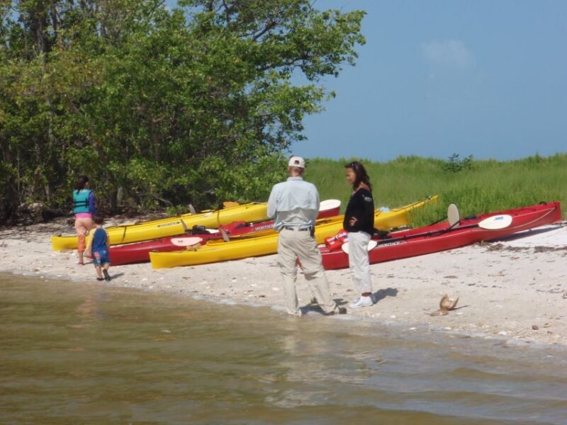 Everglades National Park: Boat Assisted Kayak Eco Tour - The Sum Up
