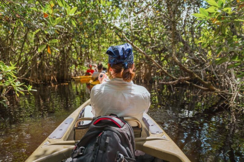 Everglades National Park: Mangrove Tunnel Kayak Eco-Tour - Frequently Asked Questions