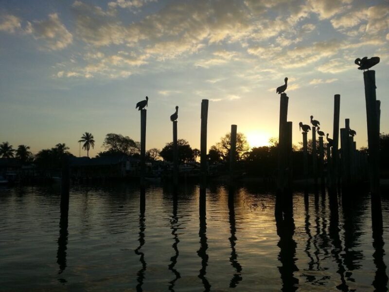 Everglades National Park: Motorboat Eco Tour - The Sum Up