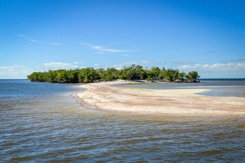 Everglades National Park: Pontoon Boat Tour & Boardwalk - The Sum Up
