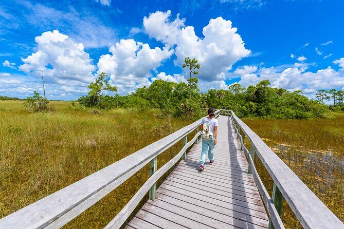 Everglades National Park Self-Guided Audio Tour - An In-Depth Look at the Everglades Self-Guided Audio Tour