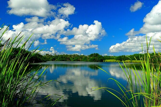 Everglades National Park Self-Guided Audio Tour - The Sum Up