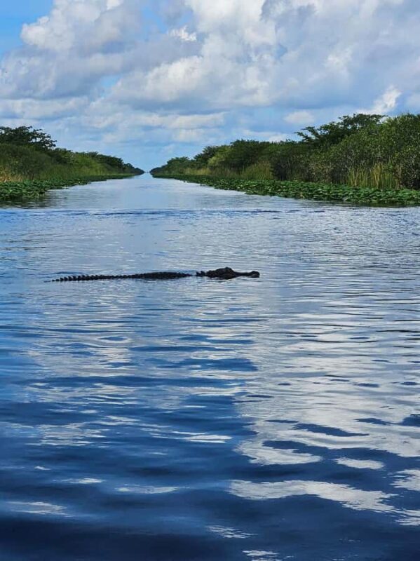 Everglades: on Flat Propelled Boat with Transportation - Introduction