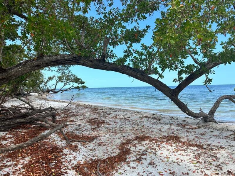 Everglades Pirate and Beach Adventure - Frequently Asked Questions (FAQs)