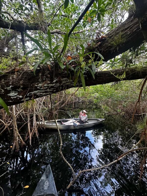 Everglades: Private Kayak Tour with Guide - Introduction: What to Expect from the Private Kayak Tour