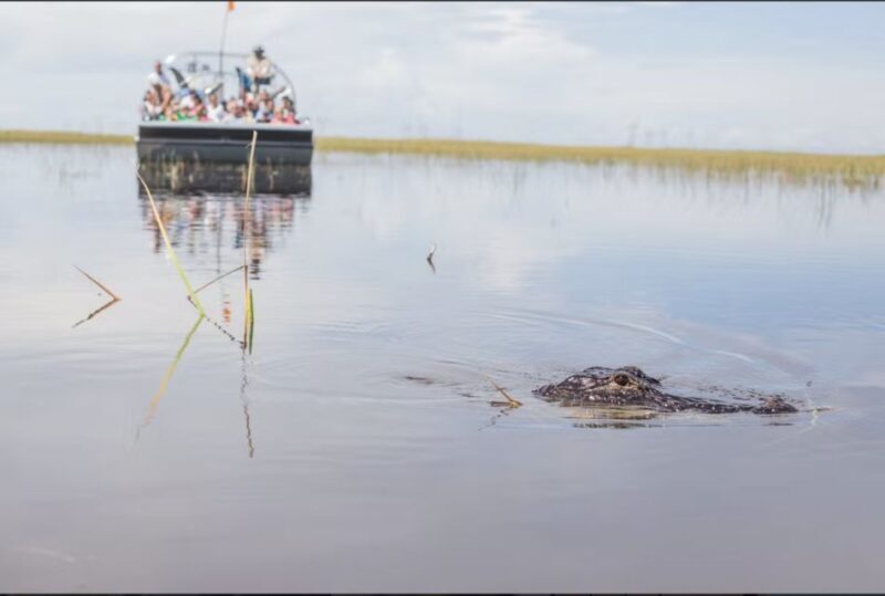 Everglades: Sawgrass Park Airboat Adventure Package - The Bottom Line: Who is This Tour Best For?