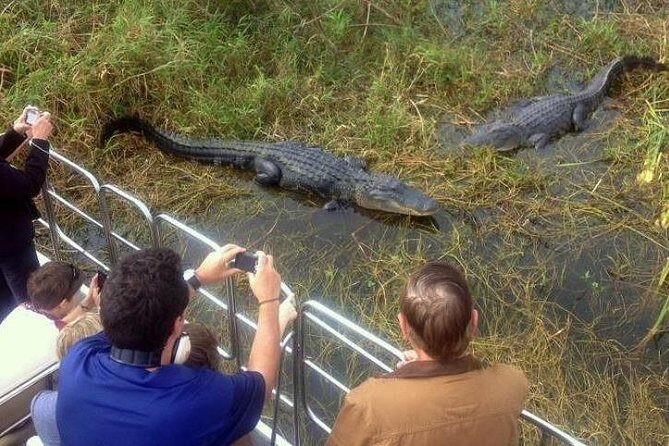 Everglades Tour in Miami - The Sum Up