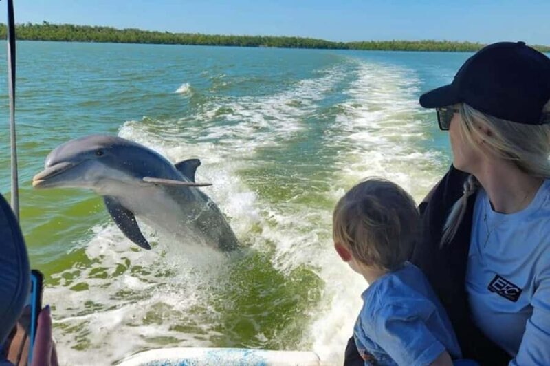 Everglades Tour with 2 Boat Rides, Hike and Lunch - Key Points