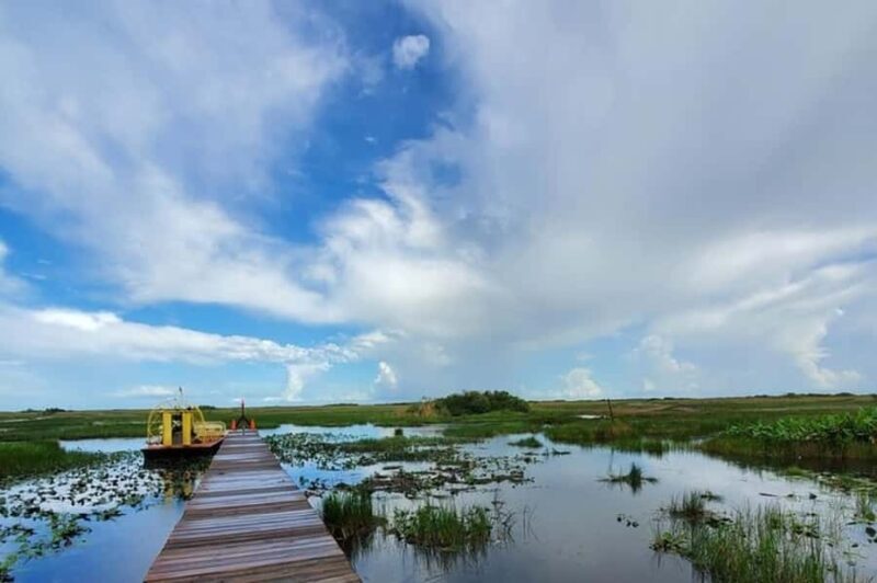 Everglades Tour with 2 Boat Rides, Hike and Lunch - Summary of the Tour’s Value