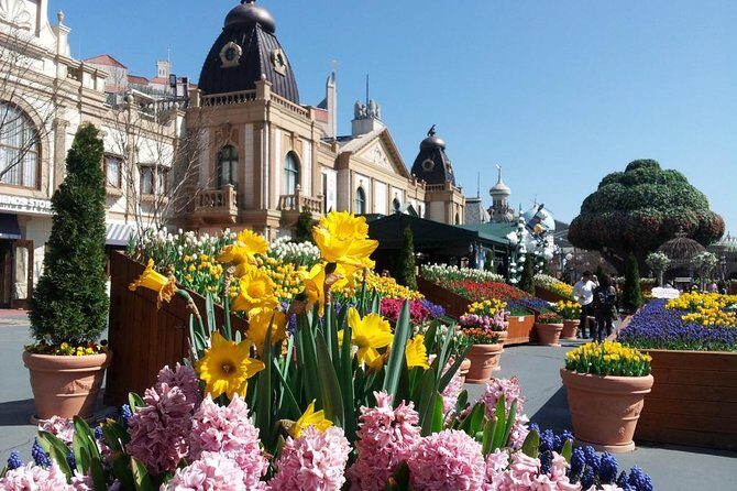 EVERLAND "From Hotel to Hotel" [Premium Private Tour: Only One Group for You] - An In-Depth Look at the Everland Private Tour