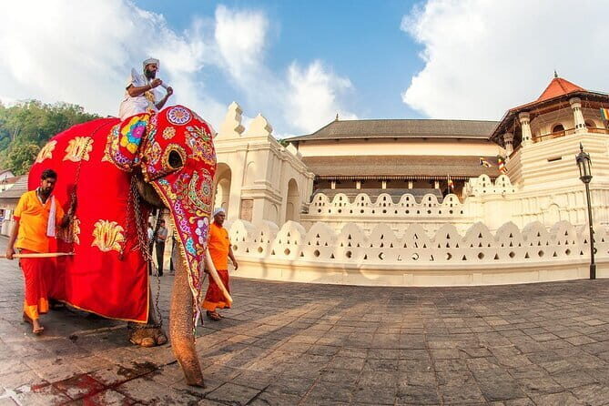 EVERYTHING IN KANDY MULTIPLE OPTIONS ToURS - A Deep Dive into the Kandy Tour Experience