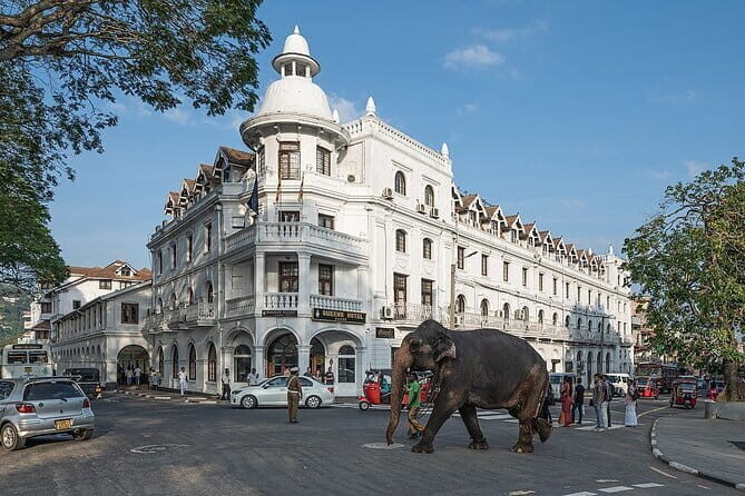 EVERYTHING IN KANDY MULTIPLE OPTIONS ToURS - Final Thoughts: Who Will Love This Tour?