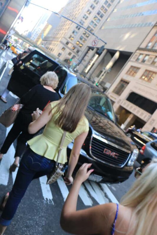 Everything New York City Private SUV Tour - The Sum Up