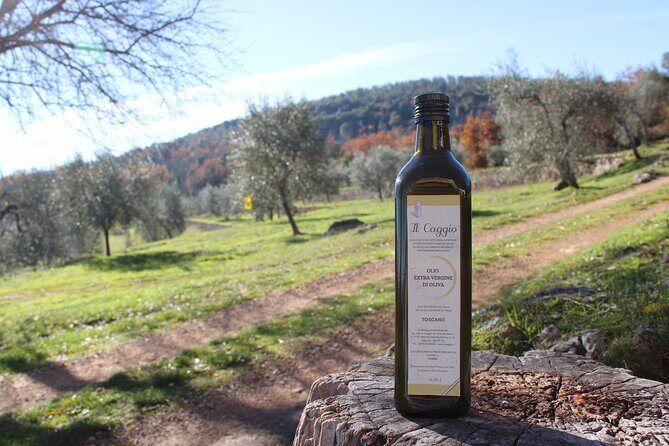 Evo Oil Experience with Oil Tasting and Lunch in the Nature - Exploring the Evo Oil Experience in Tuscany: A Deep Dive into Authentic Olive Oil and Local Flavors