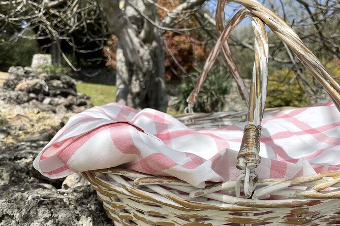 Evo Oil Experience with Oil Tasting and Lunch in the Nature - Final Thoughts