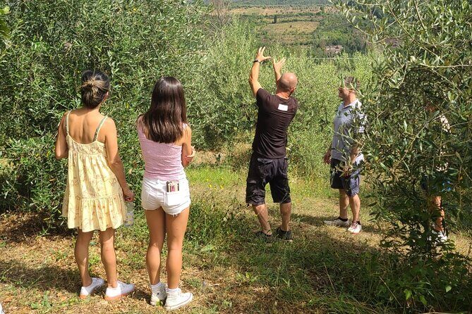 Evo Oil Tasting School with Blindfolded Tasting and Lunch - Key Points