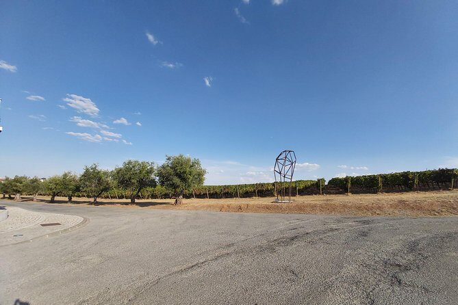 Evora & Alentejo Wine Region Private Luxury Tour - Frequently Asked Questions