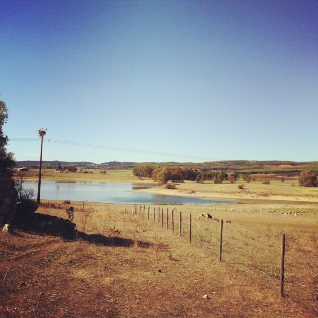 Évora and Megaliths Full-Day Tour from Lisbon - The Transport and Overall Experience