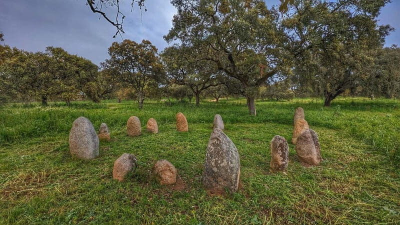 Évora: Cork Factory and Cork Farm Lunch included - Prehistoric Wonders: Cromlech and Neolithic Reconstruction