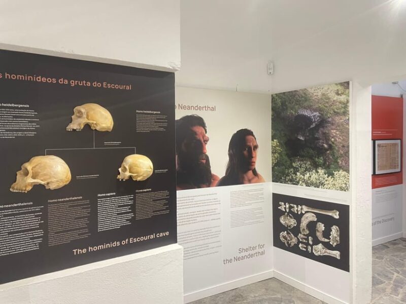 Évora or Montemor: Guided Tour of the Escoural Caves - Key Points