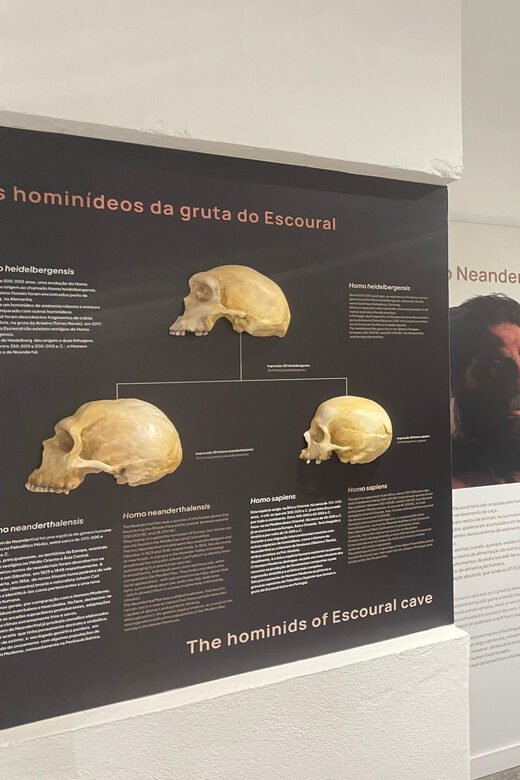 Évora or Montemor: Guided Tour of the Escoural Caves - The Sum Up