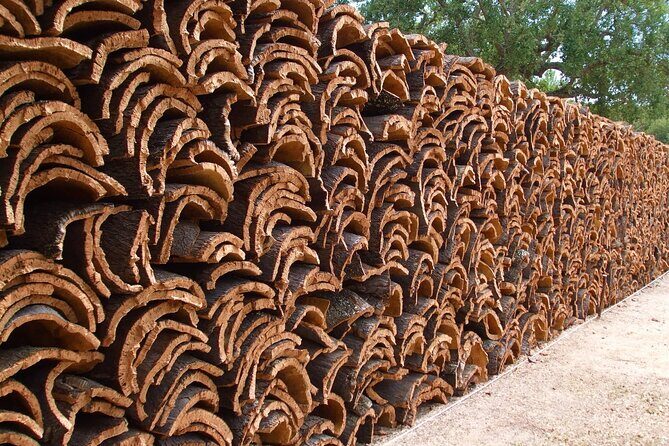 Évora Private Tour - Cork Factory Visit Included - An In-Depth Look at the Évora Private Tour