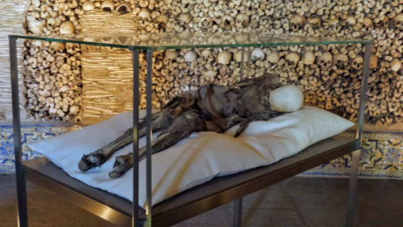 Évora Private Walking Tour - Key Points