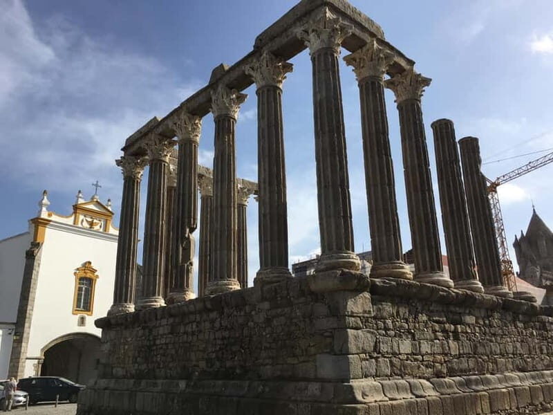 Évora town and the Olive Oil, Wine, and Cork Triangle - Tasting the Regional Gems: Olive Oil, Wine, and Cork