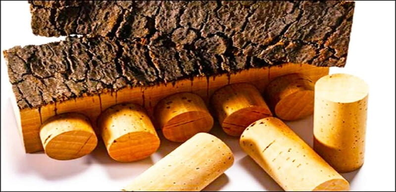 Évora town and the Olive Oil, Wine, and Cork Triangle - Analyzing the Value: Is It Worth It?