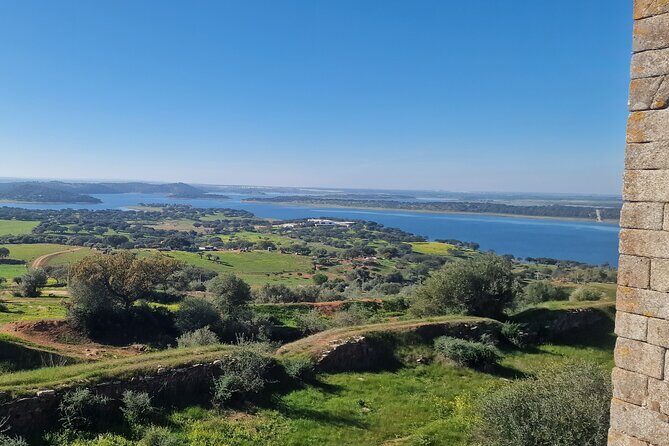 Evora Wine & Cork Experience - Who Is This Tour Best Suited For?