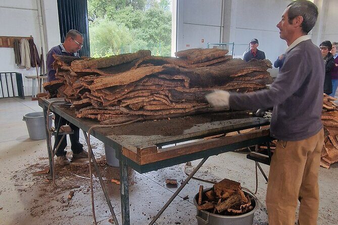 Evora Wine & Cork Experience - The Sum Up