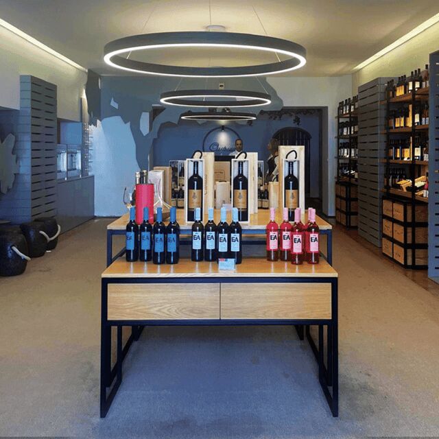 Evora: Wine Tasting and culture Tour - Who Is This Tour Best For?