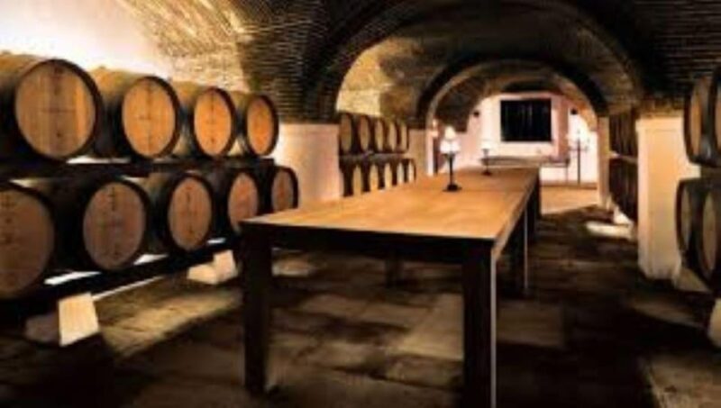 Evora: Wine Tasting and culture Tour - Frequently Asked Questions