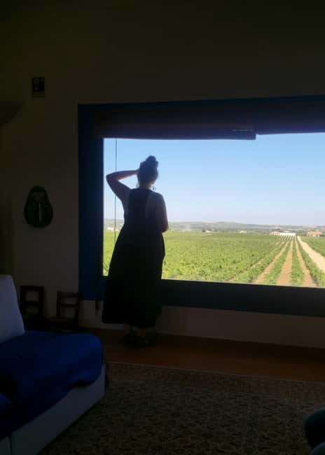 Évora & Wines: A Taste of Authentic Alentejo - Key Points