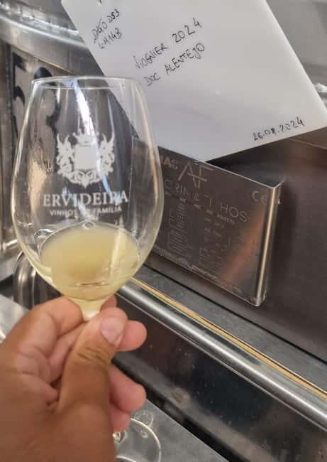 Évora & Wines: A Taste of Authentic Alentejo - Final Thoughts