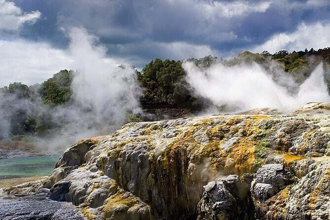 Ex Auckland: Rotorua Mori Village with Haka and Hot Springs - Key Points