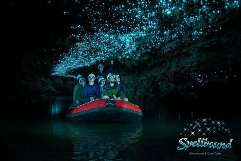 Ex Auckland Spellbound Glowworm & Cave Explorer Private Tour - An In-Depth Look at the Tour Experience