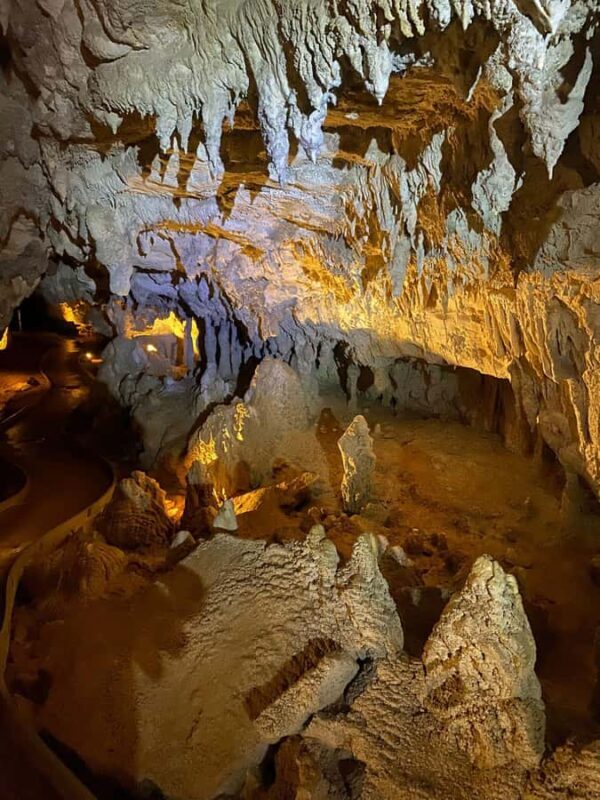 Ex Auckland Spellbound Glowworm & Cave Explorer Private Tour - FAQs