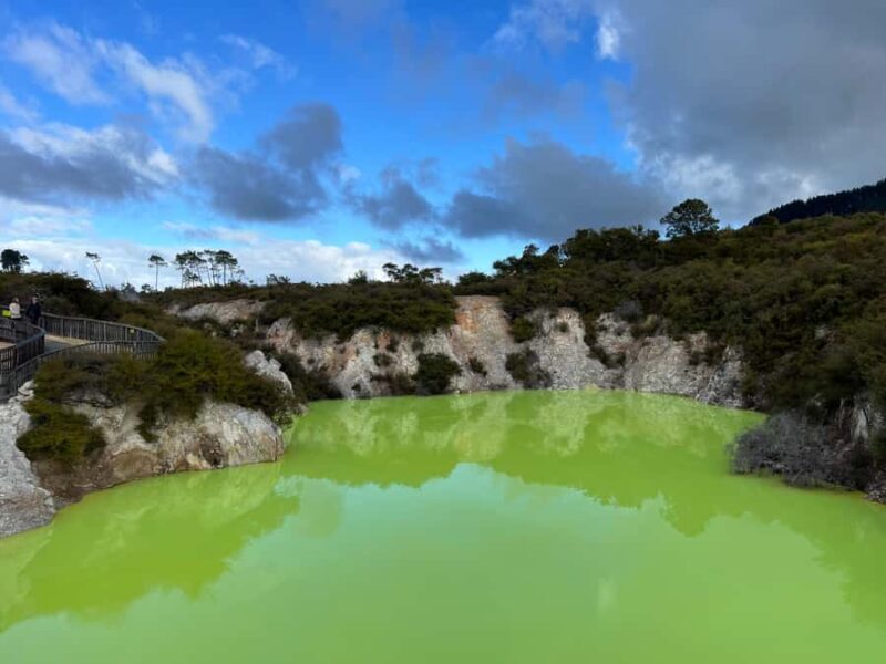 Ex Hamilton: Triple Deal WAI-O-TAPU, Redwood & Blue Springs - Insights from Reviews