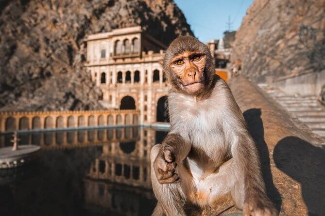 Ex-Jaipur: Highlights of Jaipur - Private Guided Tour by Car - Who Should Book This Tour?